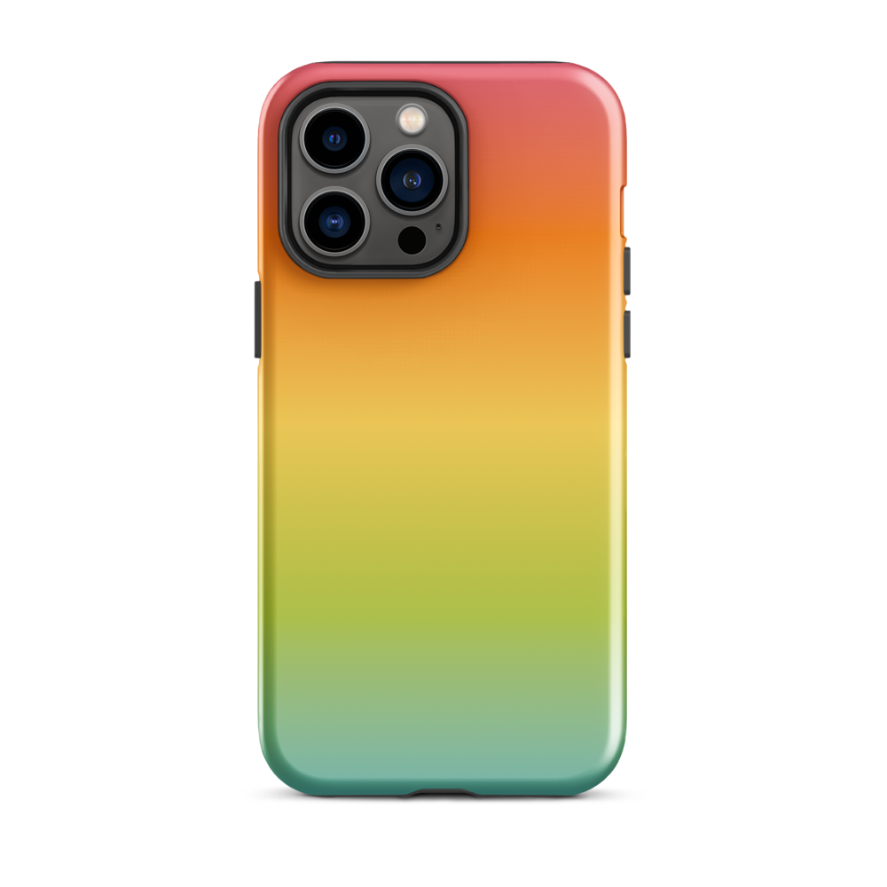 Rainbow Phone Case